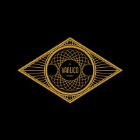 The vanlico enterprise logo - Similar company to Abdol Sensei