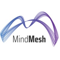 MindMesh Inc logo - Similar company to Mindmesh