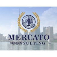 Mercato Consulting logo - Similar company to Insightlens