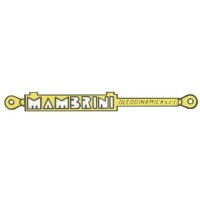 Mambrini Oleodinamica srl logo - Similar company to Oleodinamica Sangro