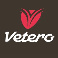 Vetero.de Oldtimerprojekte logo - Similar company to Ixtensa Gmbh & Co. Kg