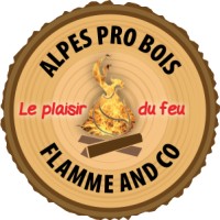 FLAMME AND CO logo - Similar company to Asbh Moselle