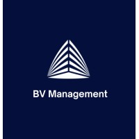 ТОО BV Management logo - Similar company to Valve Software