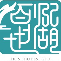 Honghu Best Global Family Office logo - Similar company to Dragon Plus