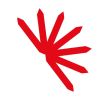 Apizco logo - Similar company to Gabashi Technologies