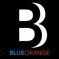 Blue Orange Designs logo - Similar company to Tech Equity