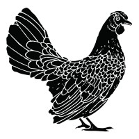 Yardbird logo - Similar company to Yardbird Group