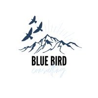 Blue Bird Consulting logo - Similar company to Tech Play Collaborative
