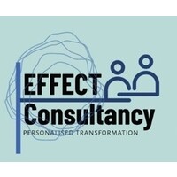 Effect Consulting logo - Similar company to Effect