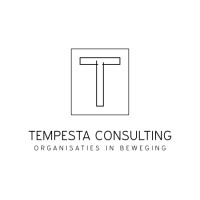 Tempesta Consulting logo - Similar company to Janse Woning- En Projectstoffering