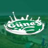 Güney Süt logo - Similar company to Tamar Fresh