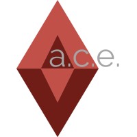 Audit. Consulting. Education. LLC logo - Similar company to Audit-Tel.Net