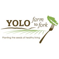 Yolo Farm To Fork logo - Similar company to Upstaged Designing