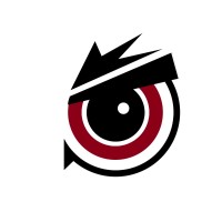 Sportsowl