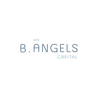 BAngels Capital logo - Similar company to Auda-Nepad Networks Of Water Centres Of Excellence