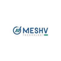 Meshv Technology logo - Similar company to Numerolution1