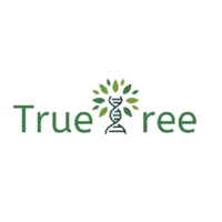 TrueTree India logo - Similar company to Wert International