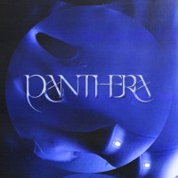 Panthera logo - Similar company to Edmtunes