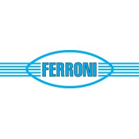 FERRONI SRL logo - Similar company to Eng Cranes Srl