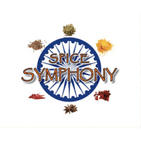 Spice Symphony logo - Similar company to Robust Tech Solutions