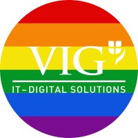 VIG IT Digital Solutions logo - Similar company to Twinformatics Gmbh