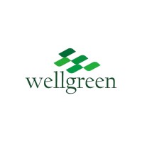 WELLGREEN Technology Co., Ltd logo - Similar company to Desmar Global Inc