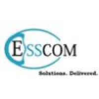 ESSCOM Solutions India Pvt Ltd logo - Similar company to Squareroot Learning Pvt Ltd