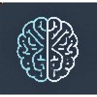 Dual Brain Analytics logo - Similar company to Space Ulm