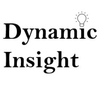 Dynamic Insight logo - Similar company to Techtimepk