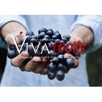 Viva Tours Tarija logo - Similar company to Camebol Tarija