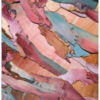 Alter.place logo - Similar company to Taylor And Hinds Architects