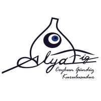 Alya Meyve ve Gıda Ür.Paz.San.Tic.A.Ş. logo - Similar company to Muti Gıda
