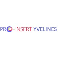 PRO-INSERT YVELINES logo - Similar company to Pro-Insert