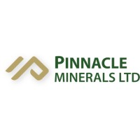 Pinnacle Minerals (ASX:PIM) logo - Similar company to Pantera Lithium Ltd