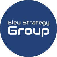 Bleu Strategy Group logo - Similar company to Yanecode Academy