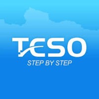TESO LLC logo - Similar company to Redpromex