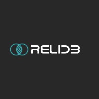 ReliDB logo - Similar company to Optimadata Bv | Expertise In Databases