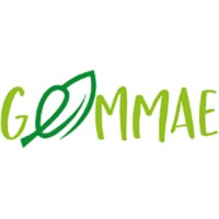 GEMMAE logo - Similar company to Loetma