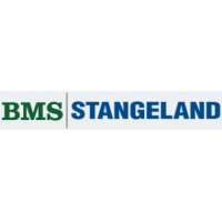 BMS Stangeland logo - Similar company to Drive 2 Survive