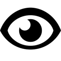 ExpertEyes Solutions logo - Similar company to Cyberlight Game Studio