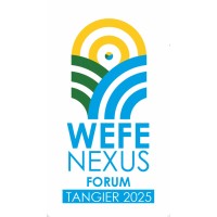 WEFE Nexus logo - Similar company to Monitribe