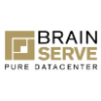 BrainServe SA logo - Similar company to Techfriendly Solutions
