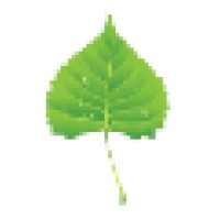 Poplar Solutions, Llc