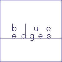 Blue Edges logo - Similar company to Navy FAB - Shopify Expert