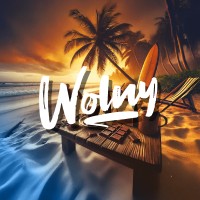 Wolny S.A.S. logo - Similar company to Transformación Empresarial Podcast