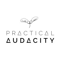 PRACTICAL AUDACITY LLC logo - Similar company to Therapy Etc