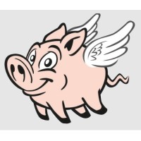 JetWash International Ltd logo - Similar company to L & P Electrical Ltd