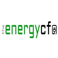 The Energy CFO | The Energy CFO, LLC logo - Similar company to Energy Bees