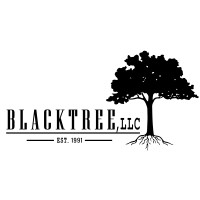 BLACKTREE LLC logo - Similar company to Black Tree Software