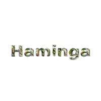 Haminga logo - Similar company to Antoine Dekeyser Tax & Estate Law